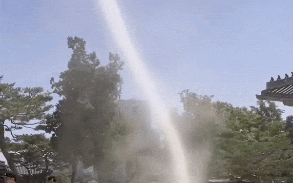 [단독] “경복궁서 용이 승천?”…원 그리며 하늘로 솟구친 회오리바람[영상]