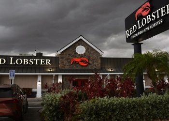 레드 랍스터, 매장 100곳 이상 폐쇄할 수도