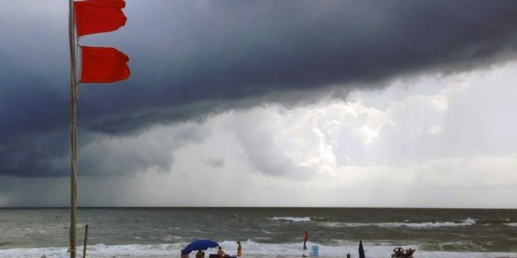 “문제는 사람들이 이 깃발이 뭔지 모른다는 거에요!”