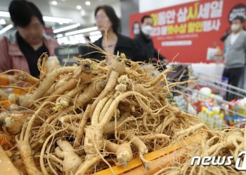 한국 ‘수삼’, 미국 수출길 오른다…검역협상 최종 타결