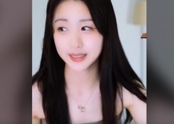 “현금 없는데” 고속도로 톨게이트서 후진한 여성 BJ …생방송도 해 뭇매