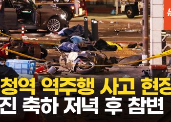 시청역 역주행 사고…검은색 차 인도로 돌진