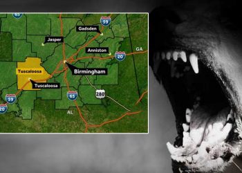 앨라배마주 여성, 개에게 살해 당해…가족이 반려견 사살