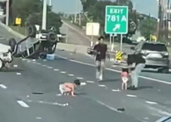 고속도로 한복판 기저귀 찬 아기들 엉금엉금…”車에서 튕겨 나왔다” 충격