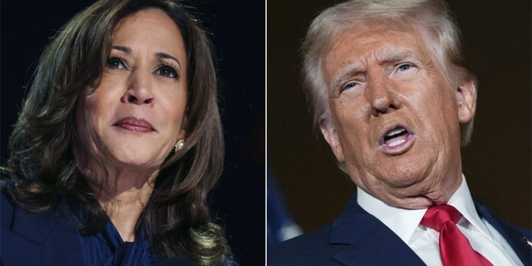 “이스라엘 지지 후보 안 찍어”…해리스, 격전지 ‘무슬림 표심’ 위기