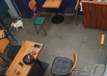 “무인 매장 CCTV 아래서 커플 성행위, 두눈 의심”…점주 ‘분통’