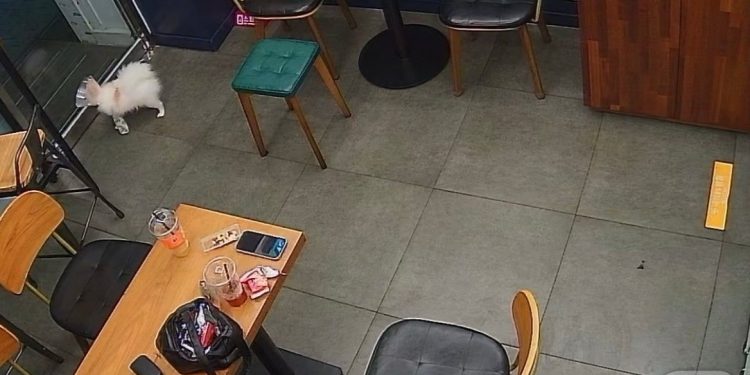 “무인 매장 CCTV 아래서 커플 성행위, 두눈 의심”…점주 ‘분통’