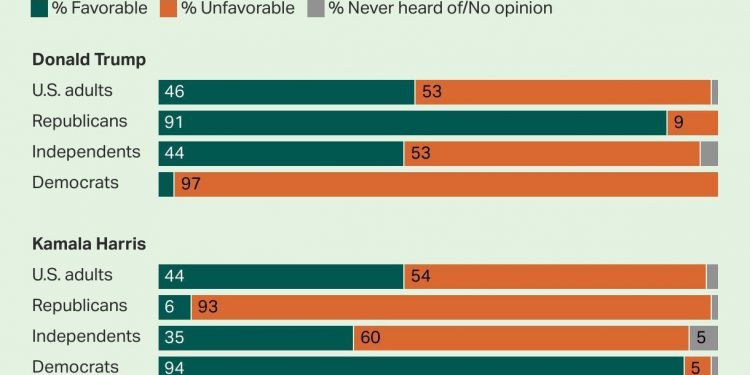 트럼프 46% vs 해리스 44%로 ‘호감도 역전-미 갤럽