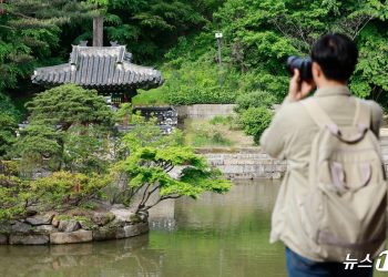 창덕궁 후원에 90㎏ 멧돼지 출몰…발견 이틀 만에 ‘사살’
