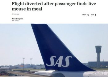기내식서 살아있는 쥐 튀어나와 “악!”…비행기 긴급 착륙