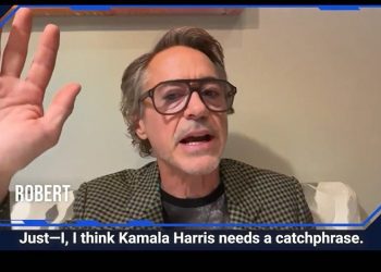 코앞 美대선에 셀럽들도 총력전…해리스·트럼프 누가 지지했을까