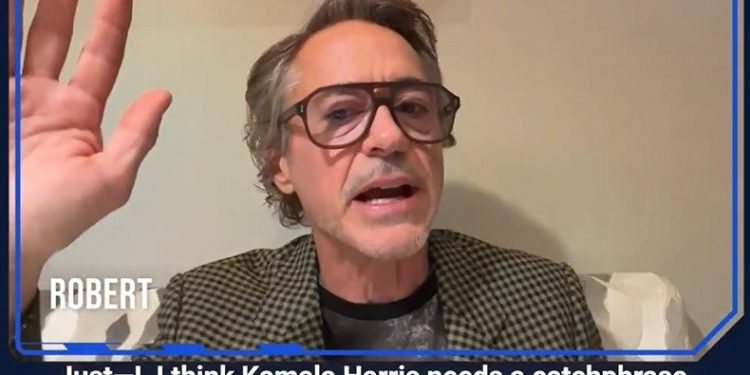 코앞 美대선에 셀럽들도 총력전…해리스·트럼프 누가 지지했을까