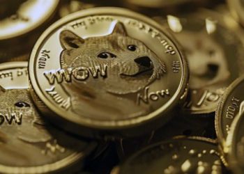 트럼프 승리에 물만난 머스크…비트코인 뛰고 도지코인 날았다