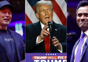 외부자문기관인데 이름은 ‘효율부’…머스크의 DOGE 어떻게 운영되나