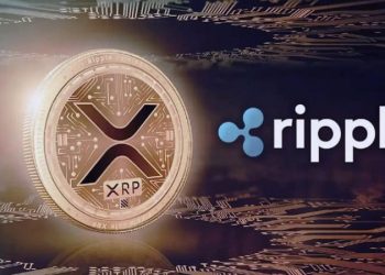 2달러 뚫은 리플, 5달러 넘을 수도…리플 CEO, 암호화폐 차르 물망