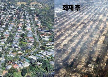 LA 산불, ‘터미네이터’ 배우 거주지 브렌트우드에도 번져…대피령 확대