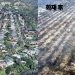 LA 산불, ‘터미네이터’ 배우 거주지 브렌트우드에도 번져…대피령 확대