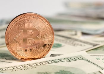 트럼프 당선 이후 비트코인 48% 급등-리플은 532% 폭등