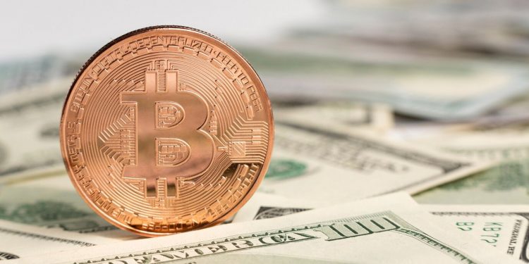 트럼프 당선 이후 비트코인 48% 급등-리플은 532% 폭등