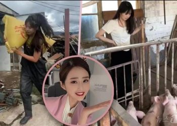 미모의 여성 승무원, 돼지농장주 변신…”두달새 4000만원 벌었다”