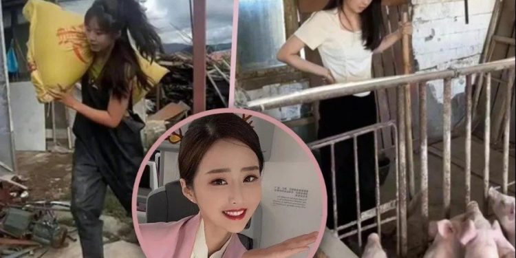 미모의 여성 승무원, 돼지농장주 변신…”두달새 4000만원 벌었다”