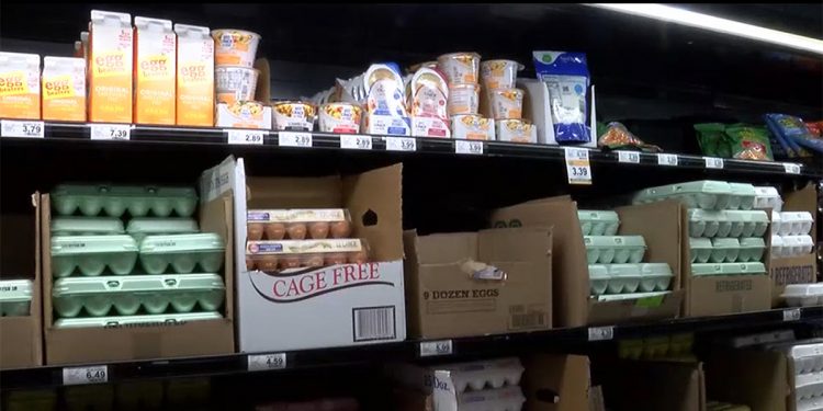 조류 독감이 앨라배마 계한 가격 올리고 있다