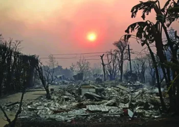“이민자 노동력, LA 화재 복구의 핵심”