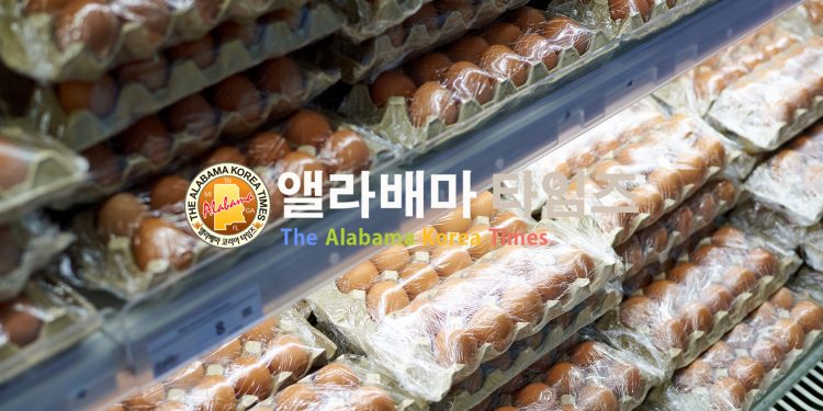 앨라배마 주 일부 지역 달걀 구매 수량 제한, 매장별 구매 가능한 수량은…