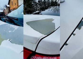 현대차 ‘백색 도장 박리’ 현상, 전 세계적으로 논란돼