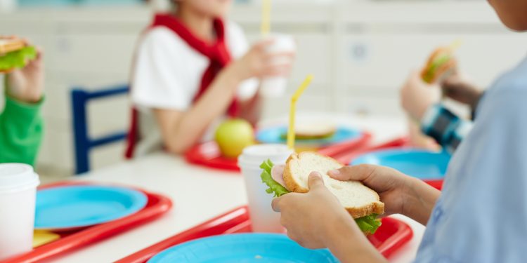 앨라배마주 농업계, 지원금 1,610만 달러 중단 소식에 난감