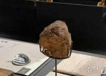 76만원 코스에 ‘코끼리 똥’ 디저트…식당 측 “소독해서 괜찮아”