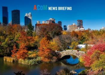 전국 최고 공원 도시는 워싱턴 DC 와 어바인