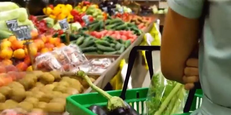 SNAP 비용 주 정부로 이전될 경우 앨라배마는 3억 달러 부담