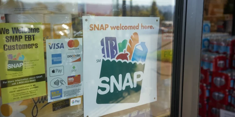앨라배마, SNAP 예산 대폭 삭감 시 수백 개 식료품점 폐업 우려