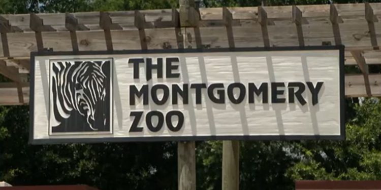 몽고메리 동물원, 신규 입구 공사 지연