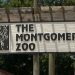 몽고메리 동물원, 신규 입구 공사 지연