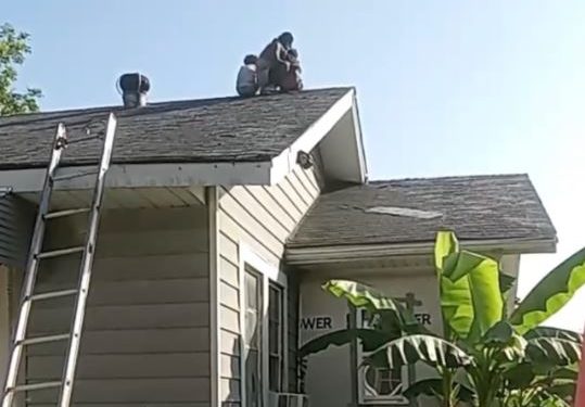 두 자녀 데리고 지붕위서 7시간 시위