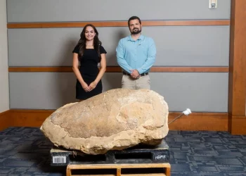 앨라배마 낚시 여행 중 3200만 년 전 바다거북 화석 발견