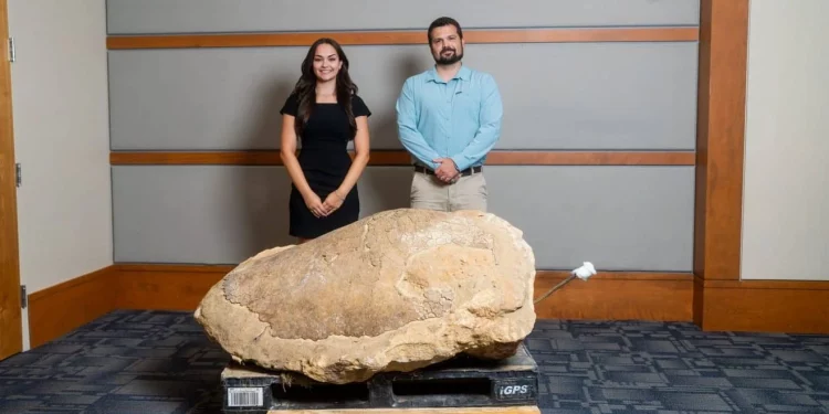 앨라배마 낚시 여행 중 3200만 년 전 바다거북 화석 발견