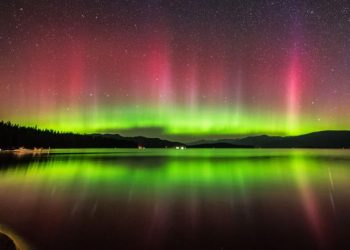 앨라배마 밤하늘 물든 ‘오로라 보라 바마’…희귀 북극광, 멕시코만 해안까지 관측