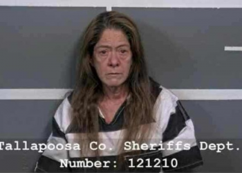 앨라바마 데이드빌 여성 체포…영하의 추위 속 방치된 고양이 92마리 발견