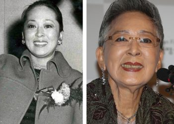 “한국 영화의 전설 김지미, 미국서 별세…85년 여정의 끝”