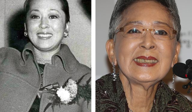 “한국 영화의 전설 김지미, 미국서 별세…85년 여정의 끝”