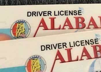알라바마 “영어 못 읽으면 면허 없다” 법안 등장