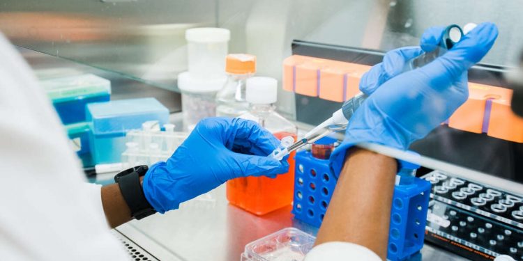 UAB, 인간 뇌 조직을 우주로…알츠하이머 연구 대담한 도전