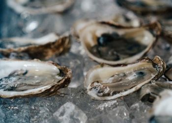 미 전역 살모넬라 확산 경고…알라바마는 ‘안전 지역’