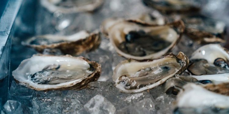 미 전역 살모넬라 확산 경고…알라바마는 ‘안전 지역’