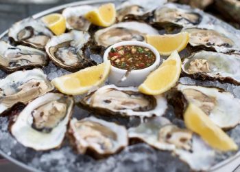 “올해 앨라바마 굴, 여기서 끝”