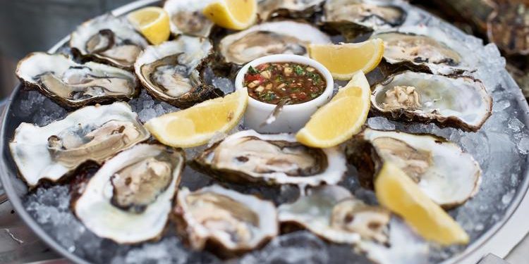 “올해 앨라바마 굴, 여기서 끝”