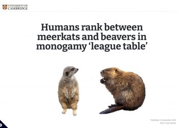 평생 한짝? 포유류 1위는 ‘캘리포니아쥐’…인간은 7위